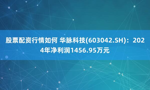股票配资行情如何 华脉科技(603042.SH)：2024年净利润1456.95万元