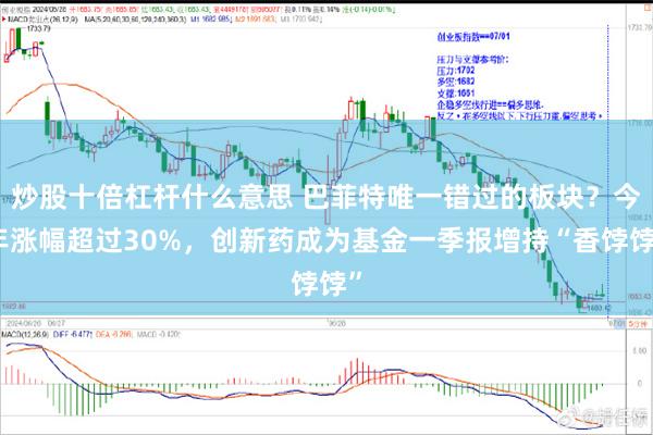 炒股十倍杠杆什么意思 巴菲特唯一错过的板块？今年涨幅超过30%，创新药成为基金一季报增持“香饽饽”
