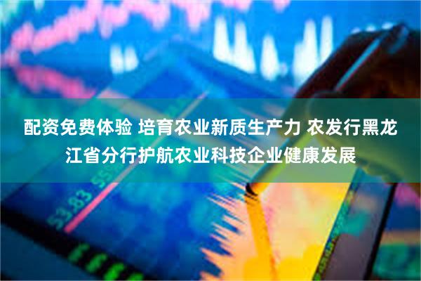 配资免费体验 培育农业新质生产力 农发行黑龙江省分行护航农业科技企业健康发展