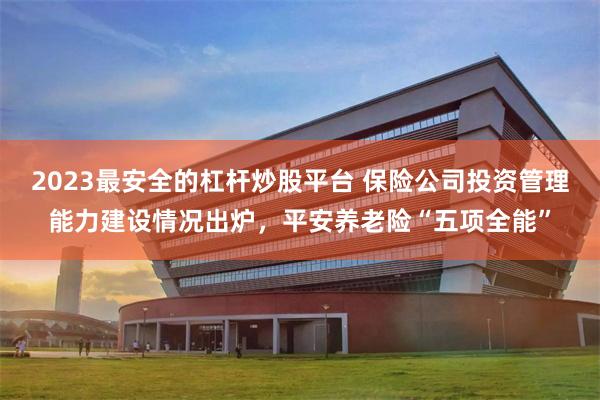 2023最安全的杠杆炒股平台 保险公司投资管理能力建设情况出炉，平安养老险“五项全能”