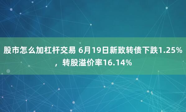 股市怎么加杠杆交易 6月19日新致转债下跌1.25%，转股溢价率16.14%