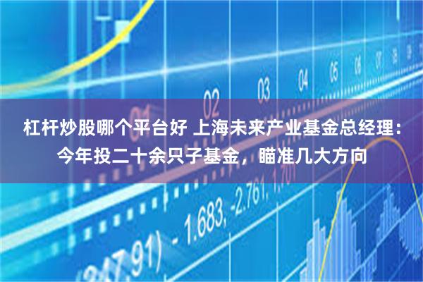 杠杆炒股哪个平台好 上海未来产业基金总经理：今年投二十余只子基金，瞄准几大方向